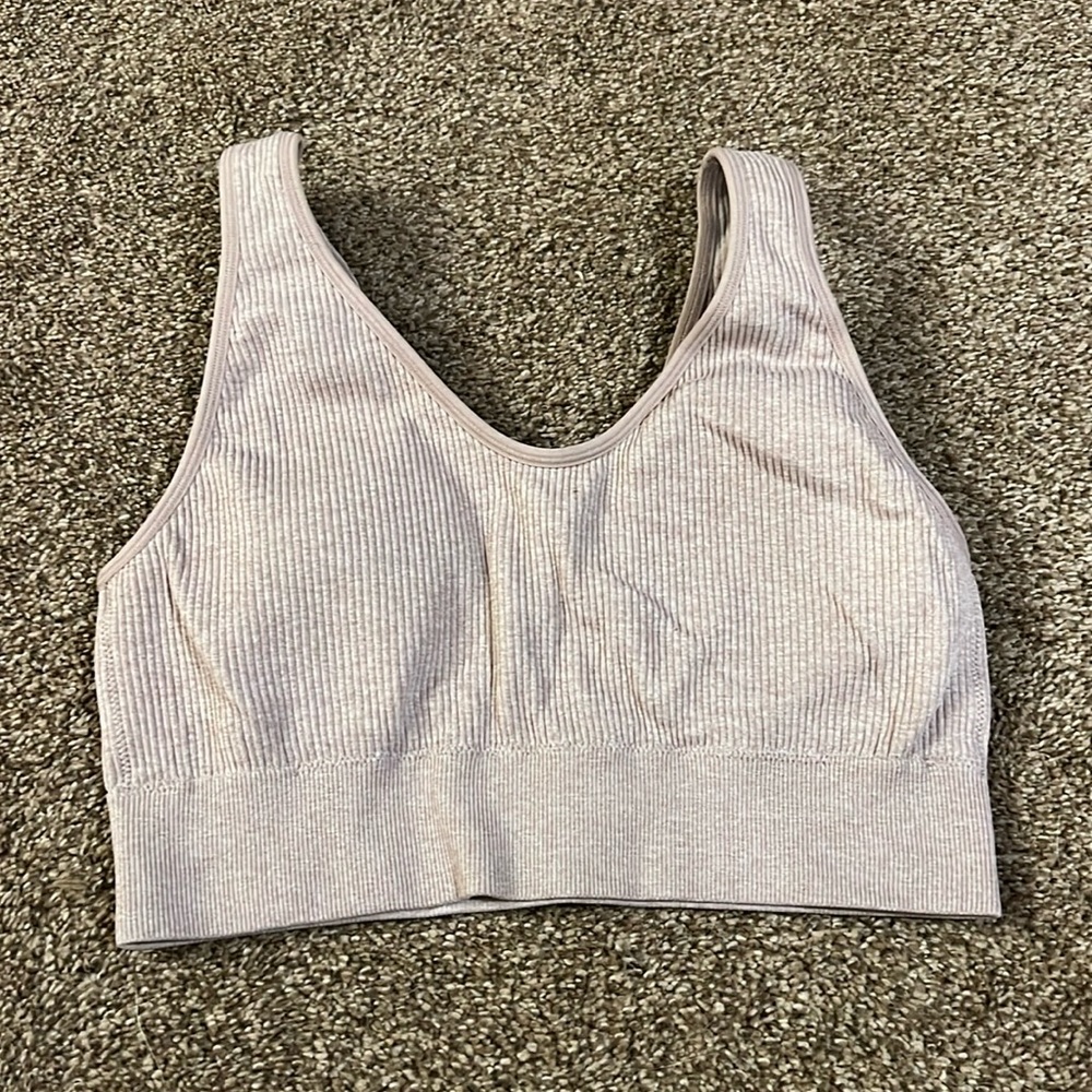 Aerie Large Sports Bra
